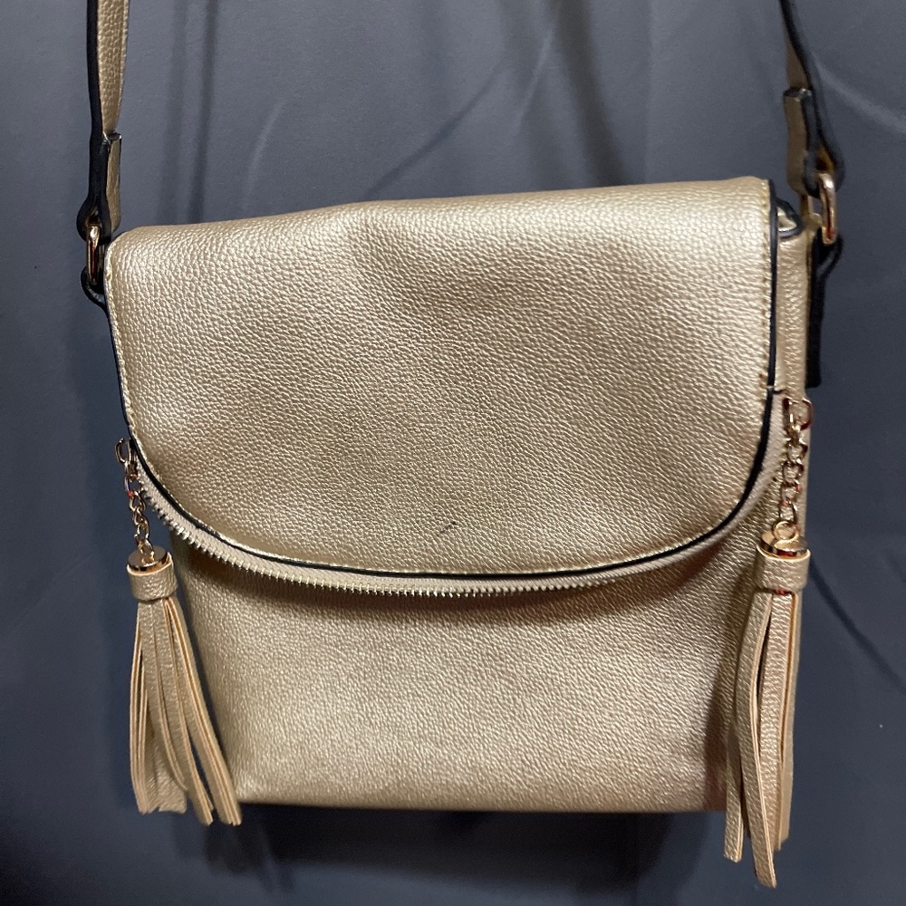 Gold and black BBrentano purse.